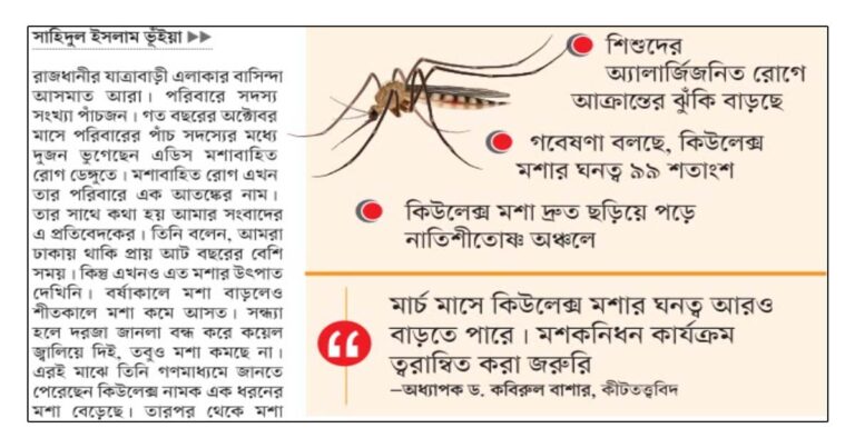 কিউলেক্স মশা আতঙ্ক