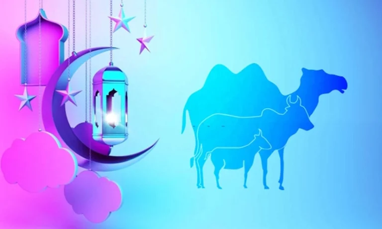 মসজিদে নববীতে প্রদত্ত আজকের ঈদুল আযহার খুতবার বঙ্গানুবাদ। তারিখ: ১৬-০৬-২০২৪ ইং